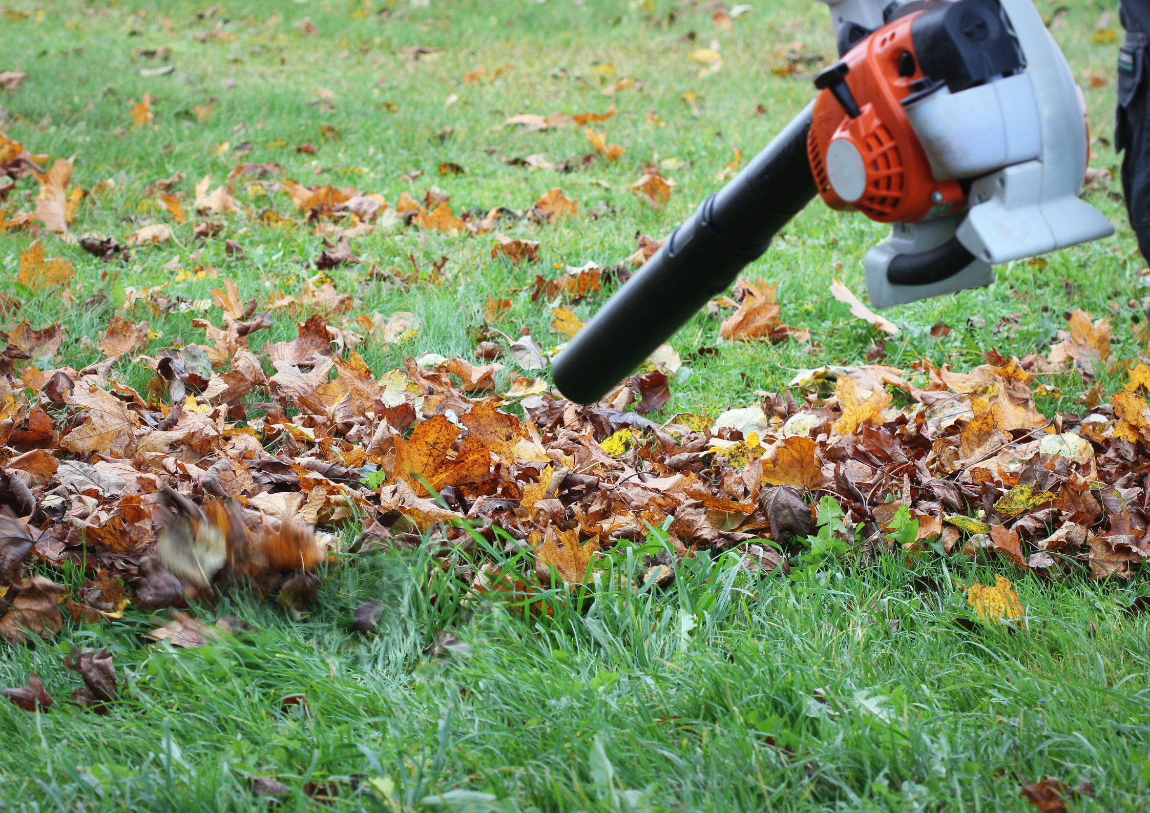 Garden Debris Cleaning