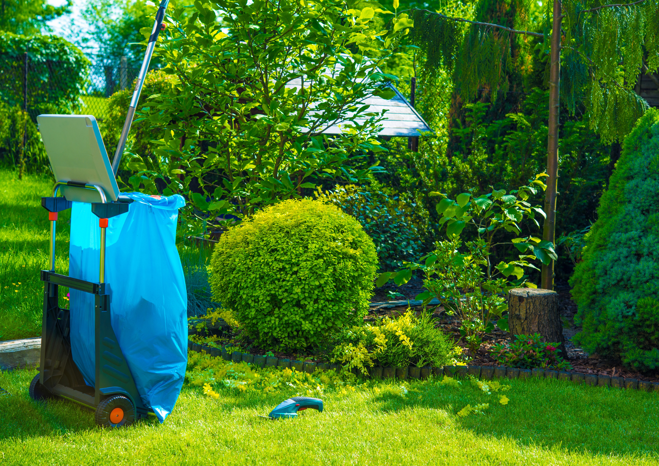 Garden Debris Cleaning